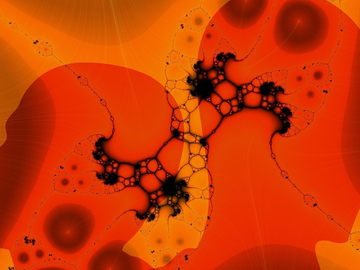SPAZIO 12. INVECCHIAMENTO E NEUROSCIENZE: MEMORIA, LONGEVITÀ E… CURIOSITÀ