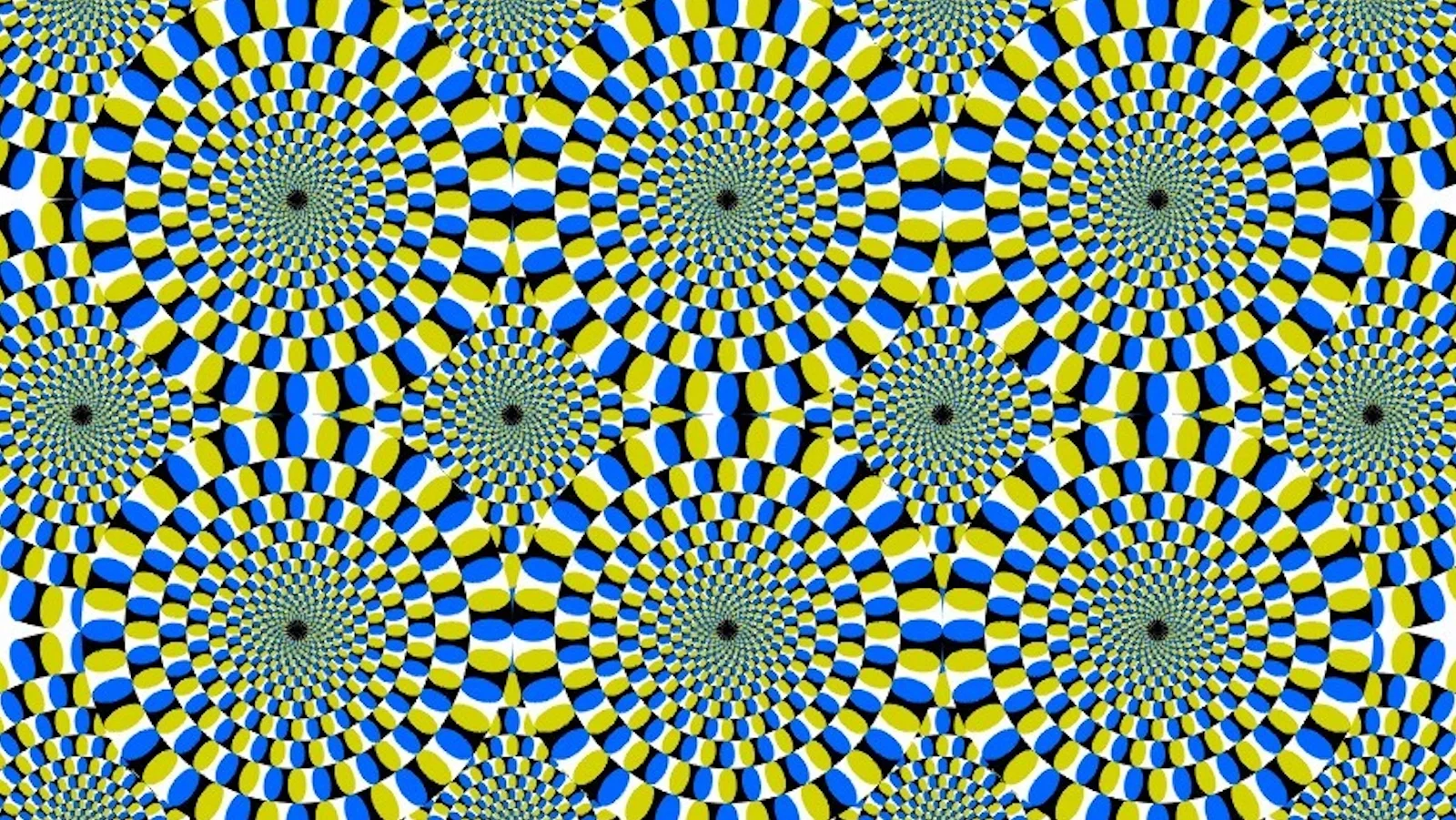 SPAZIO 10. TRA NEURONI E ILLUSIONI: COSÌ VEDIAMO IL MONDO