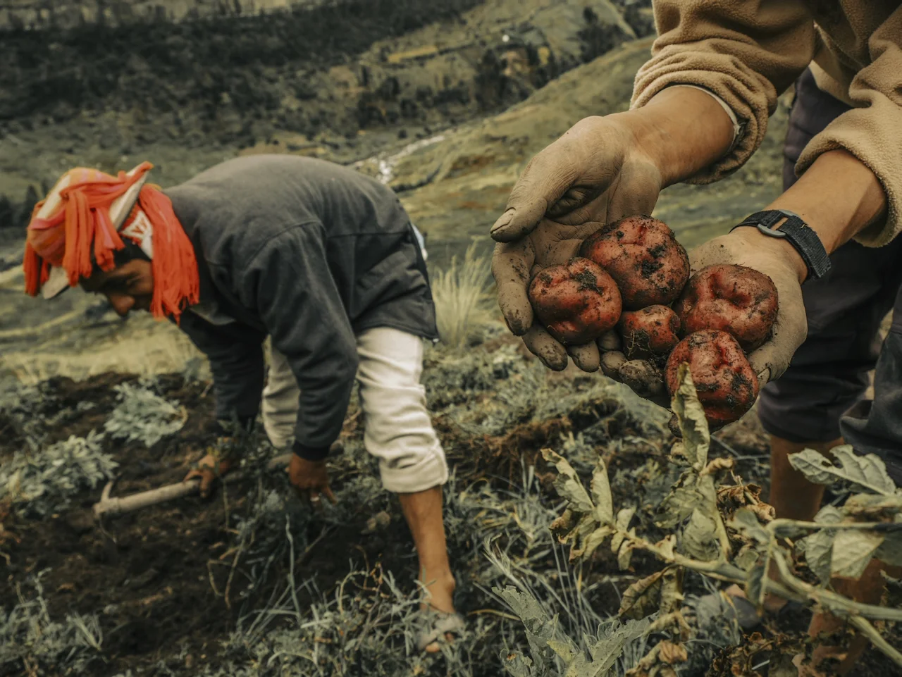 SPAZIO 31. MOSTRA FOTOGRAFICA PLANTING WATER DI MUSUK NOLTE