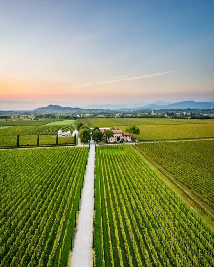 Tenuta Borgo Conventi