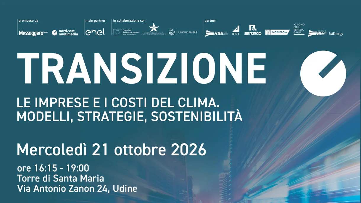 Transizione. Le imprese e i costi del clima. Modelli, strategie, sostenibilità