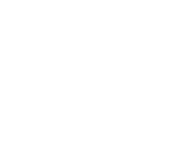 Link Media Festival 2026