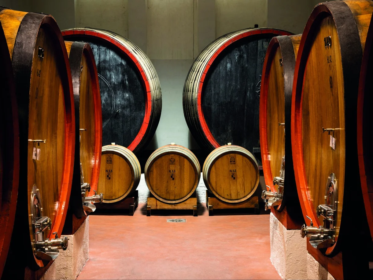 Dal riso al caffè, passando per vini e distillati: con WeFood porte aperte in 14 realtà d'eccellenza tra Veneto e Trentino