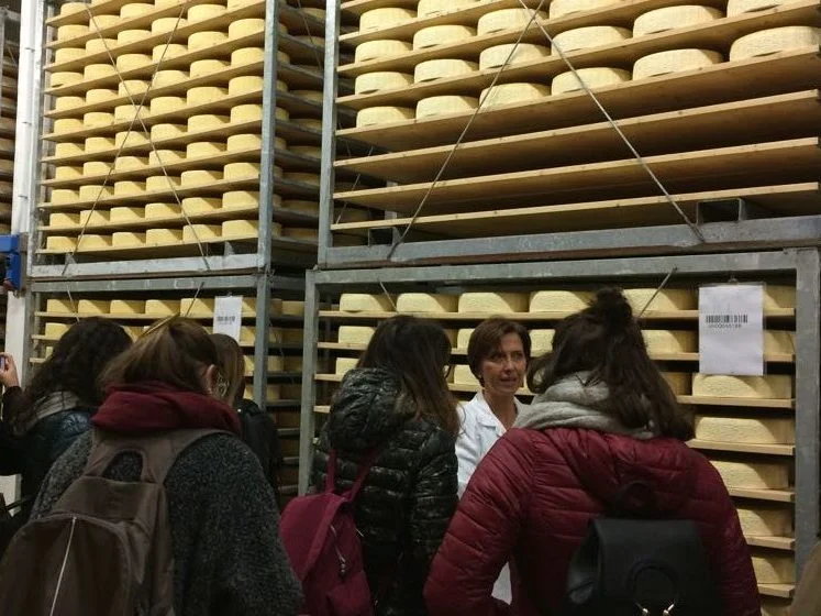 Turismo enogastronomico e industriale. Alleanza tra Touring Club Italiano e ItalyPost su We Food e Open Factory