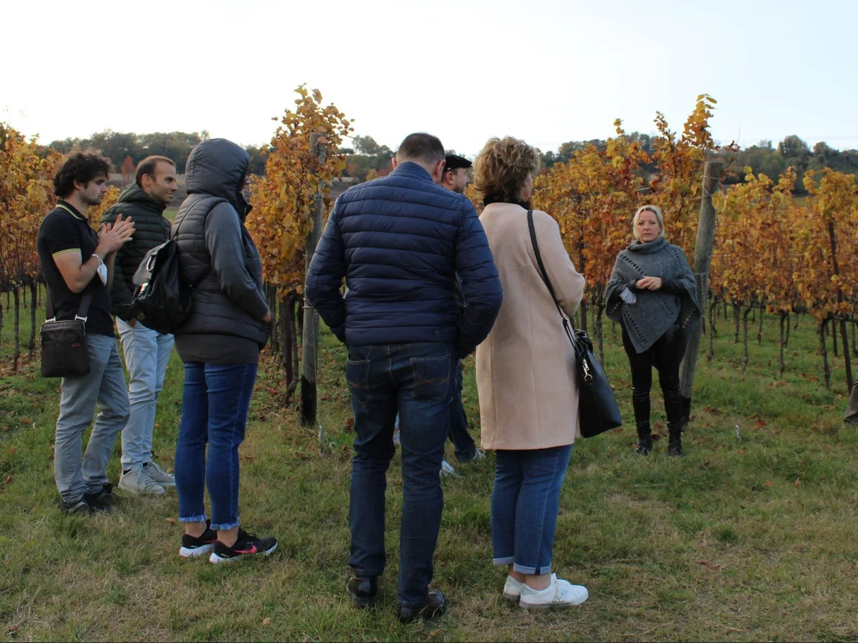 WeFood da tutto esaurito nelle 60 Fabbriche del Gusto