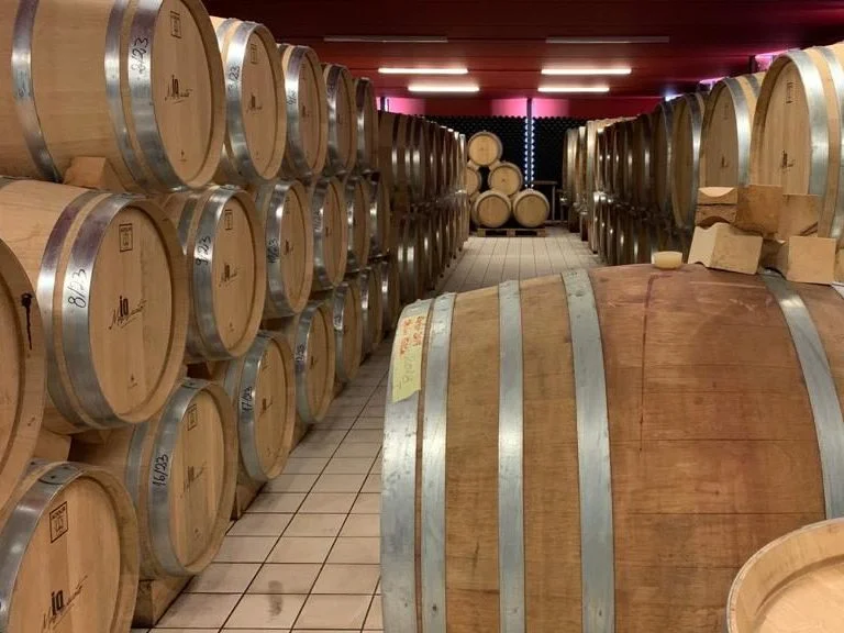 WeFood e Cantine Aperte: un weekend enogastronomico di qualità