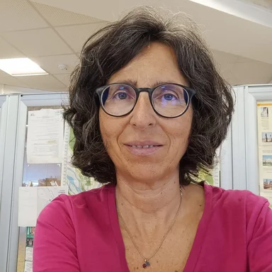 Paola Dall'Anese