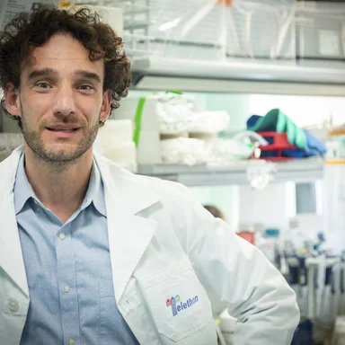 Andrea Ditadi